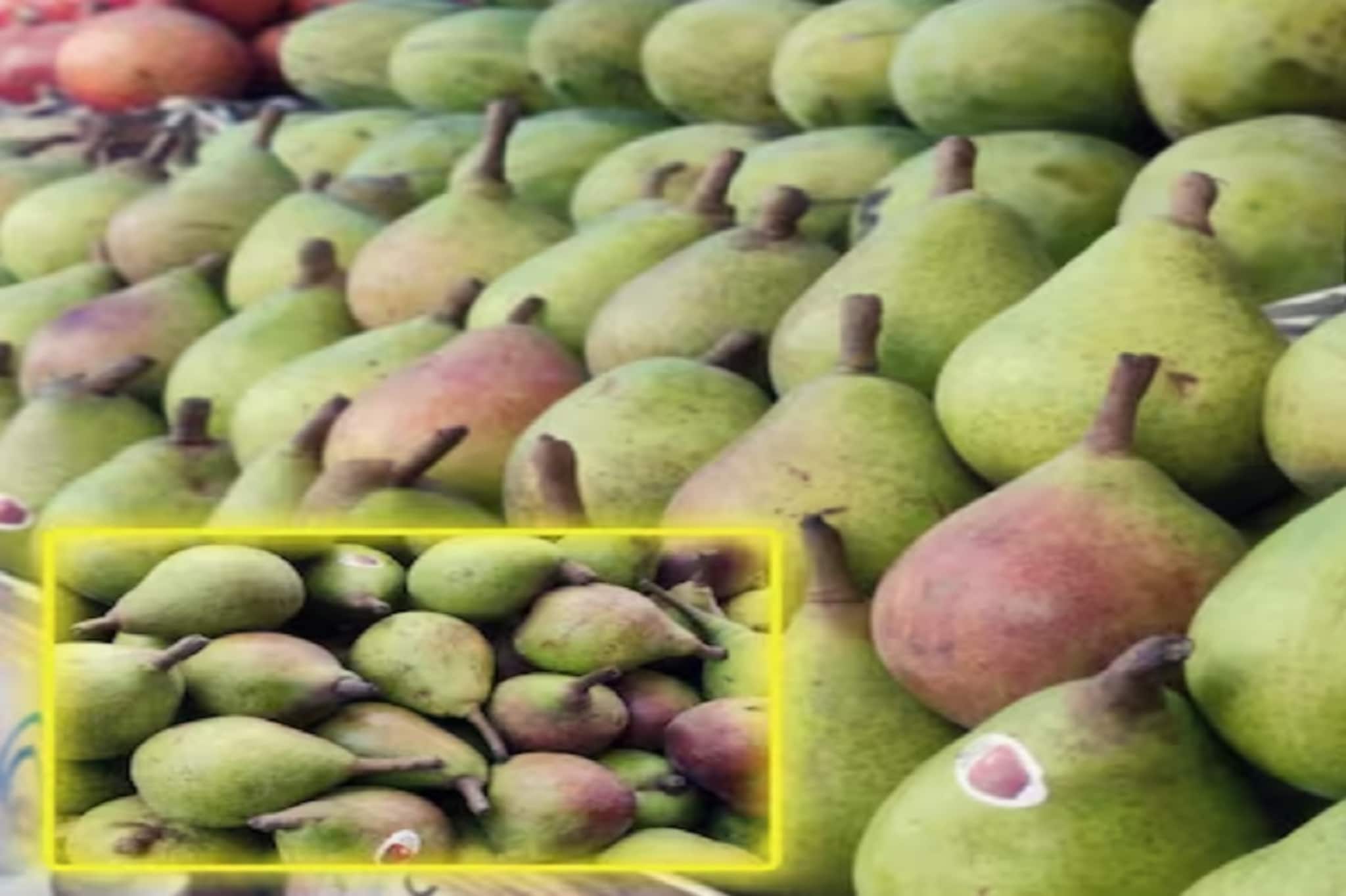 फक्त 20 दिवस मिळणाऱ्या या फळाची अमृताशी होते तुलना, पाहा काय आहे कारण?