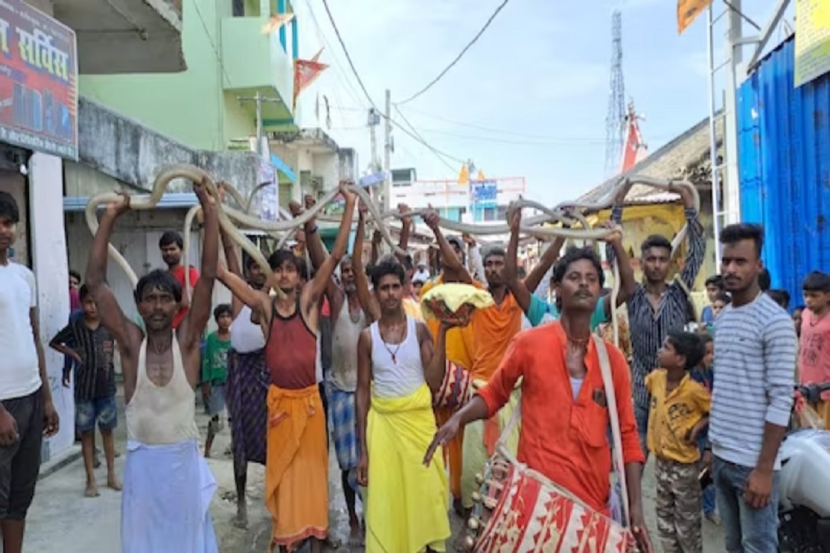 याबाबत कोणालाही किळस वाटत नाही, कारण लोक अतिशय भक्तिभावाने या जत्रेत सहभागी होतात.