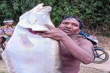 विदेशात प्रचंड महाग, वजन तब्बल 14 किलो, असं काय लागलं जाळ्यात? PHOTOS