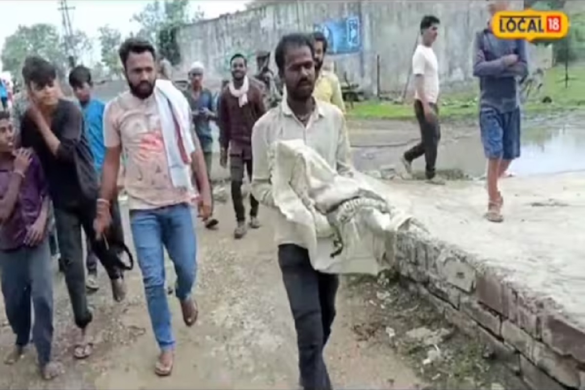 ...तेव्हा त्यांच्याच घरात मगर शिरली असल्याचं कळलं.