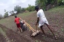 शेत नांगरण्यासाठी ट्रॅक्टरवाला आला नाही, शेतकऱ्याने असा जुगाड केला की...