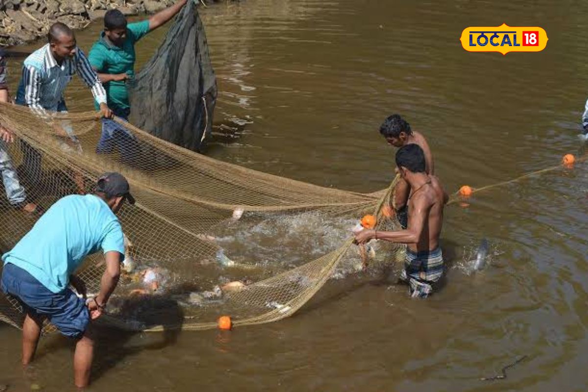 Nagpur News : मत्स्य विज्ञान क्षेत्रात शिक्षण घेताय? काय आहेत रोजगाराच्या संधी? पाहा Video