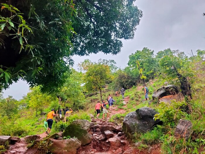 सध्या ट्रेकिंग करण्याचे फॅड सगळीकडेच आले आहे. पावसाळ्याच्या दिवसांत गड किल्ले किंवा उंचावरील ठिकाणी ट्रेकिंगला जाण्याचा आनंद काही वेगळाच असतो.