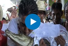 महापौरांनी मगरीशी केलं लग्न, किस घेताना Video व्हायरल