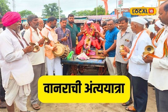 गाव तसं चांगलं, वानरासाठी एकवटलं, माणुसकीचं दर्शन घडवणारा VIDEO
