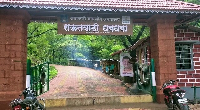 राऊतवाडी धबधबा हा कोल्हापूर जिल्ह्यात निसर्ग सौंदर्य आणि जैव विविधतेने नटलेल्या राधानगरी तालुक्यातील एक प्रसिद्ध धबधबा आहे. दरवर्षी हजारो पर्यटक या ठिकाणी स्वच्छंदी निसर्गाचा मनमुराद आनंद लुटण्यासाठी दूरवरून येत असतात.