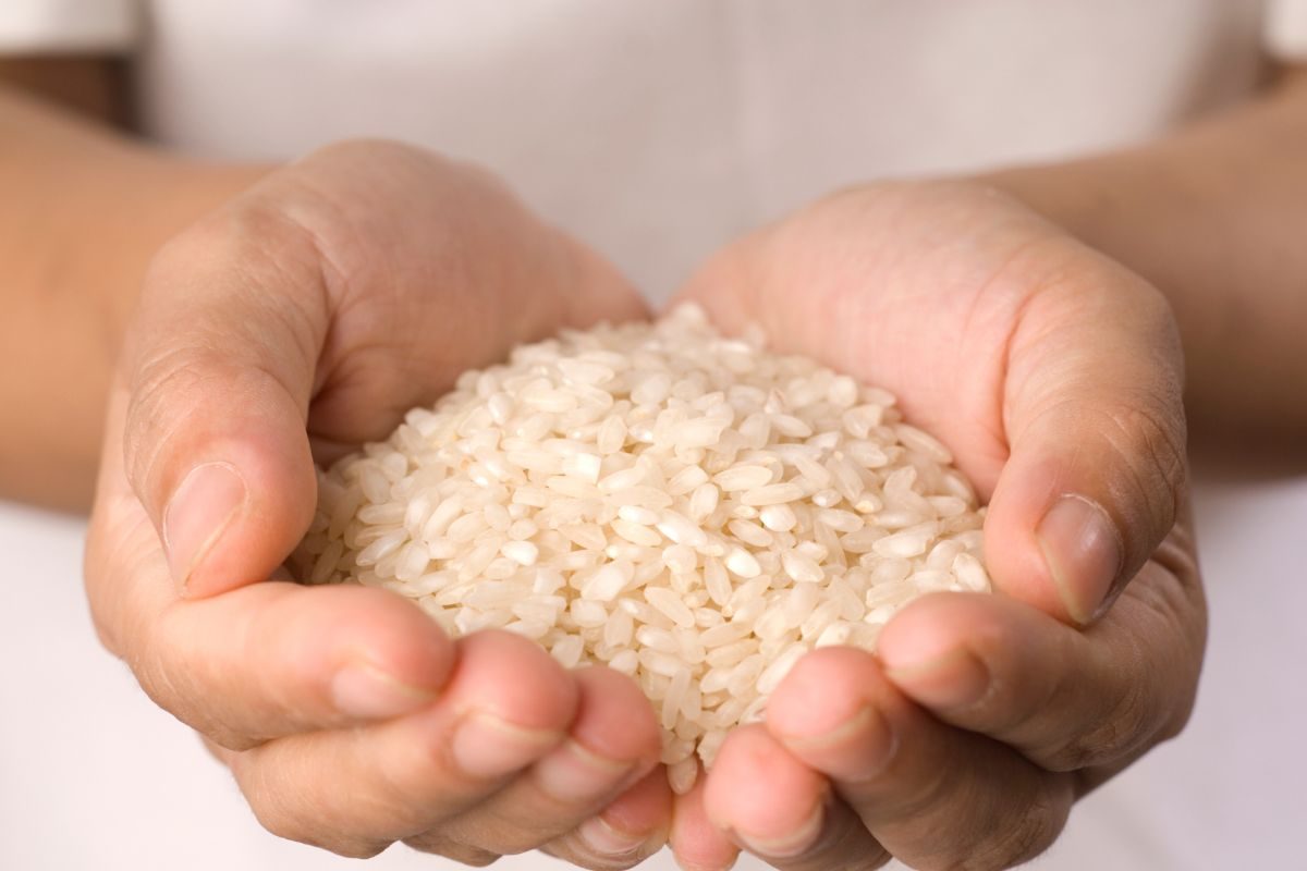 फोटो - Canva