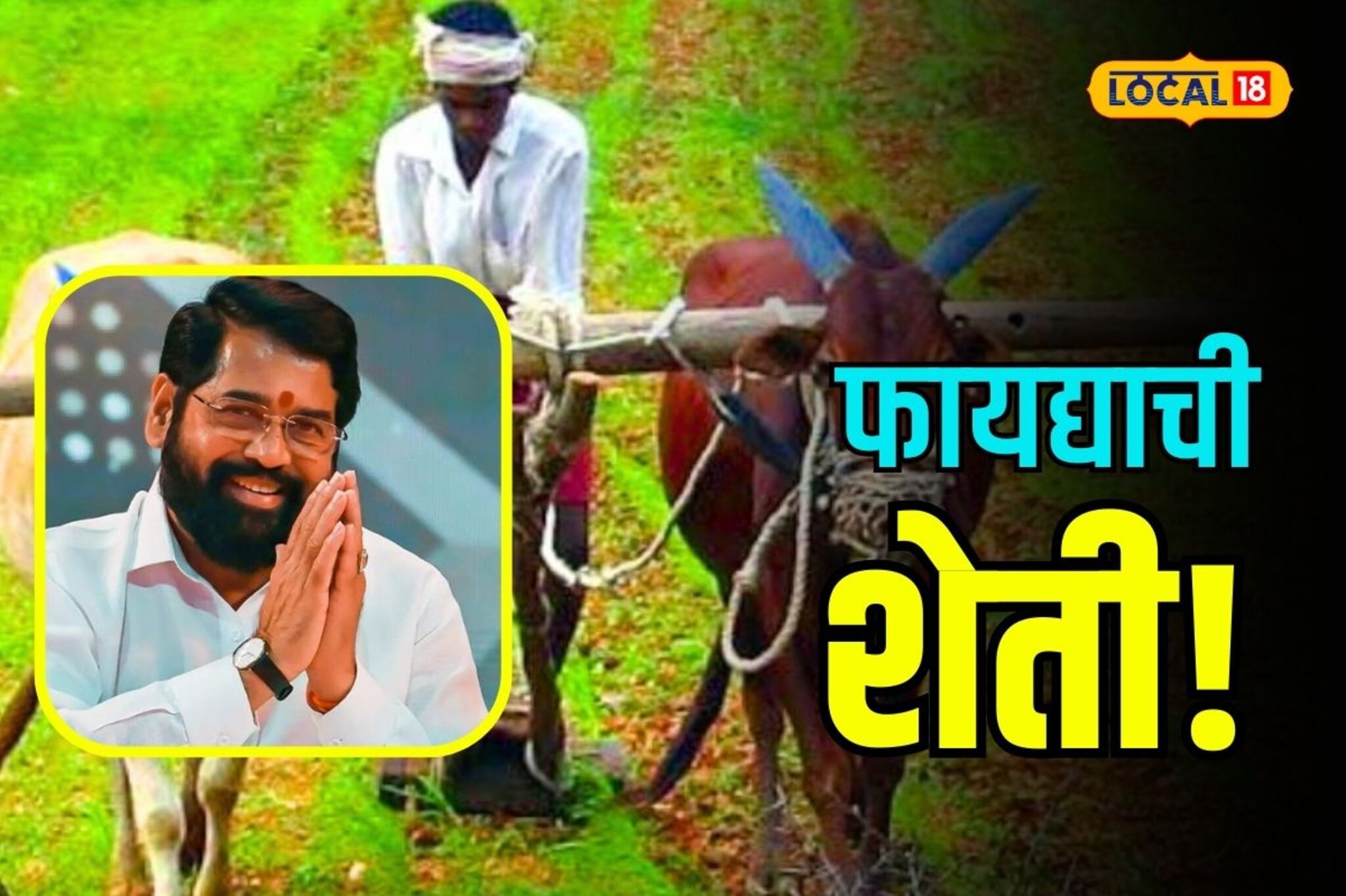 शेती न करता कमवा हेक्टरी सव्वा लाख रुपये, शिंदे सरकारची खास योजना, Video