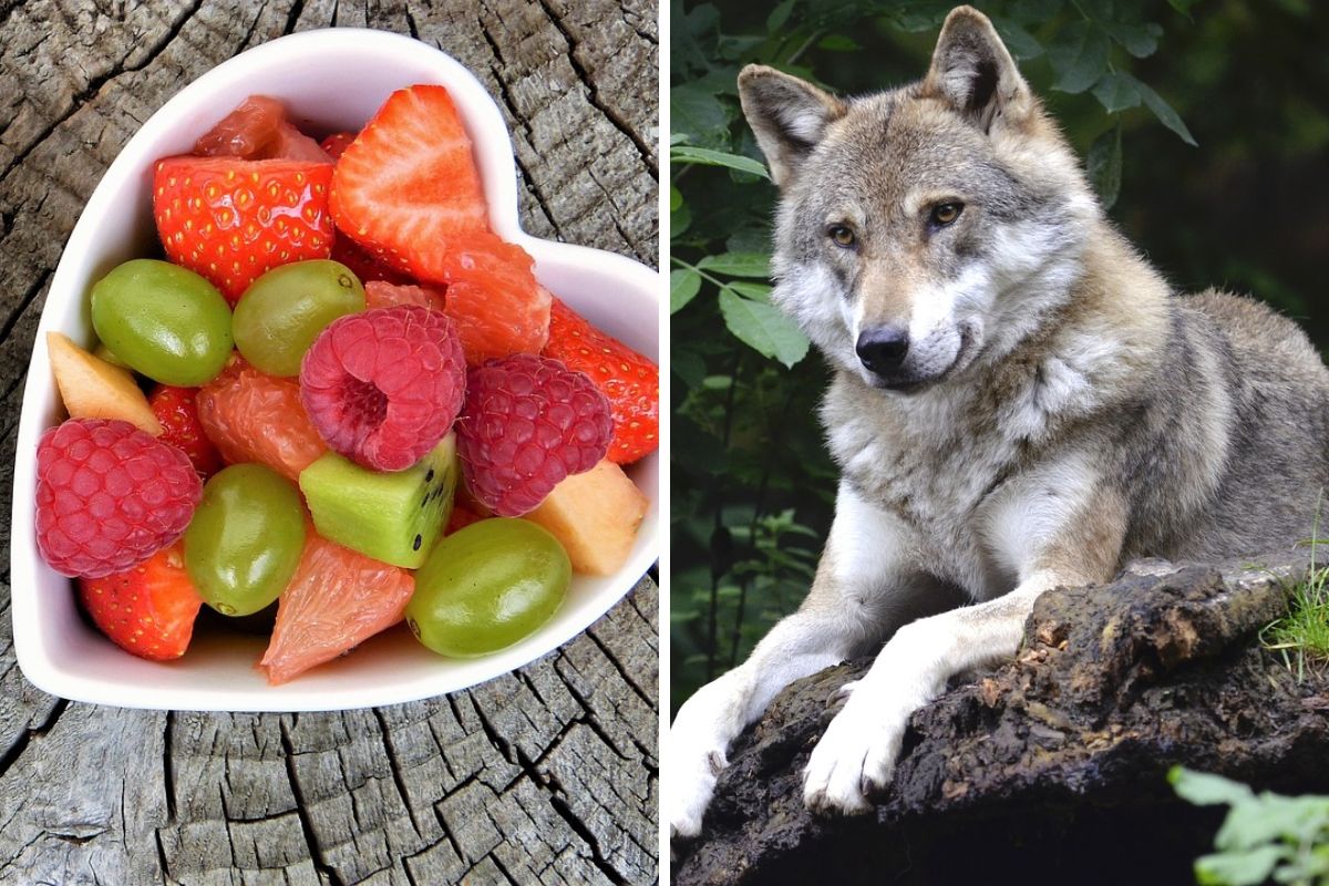 जनरल नॉलेज