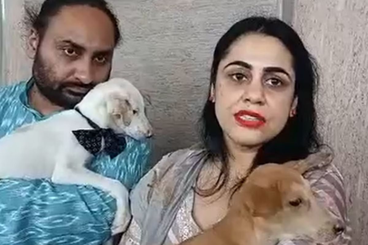 दोन कुत्रे विमानाने करणार प्रवास