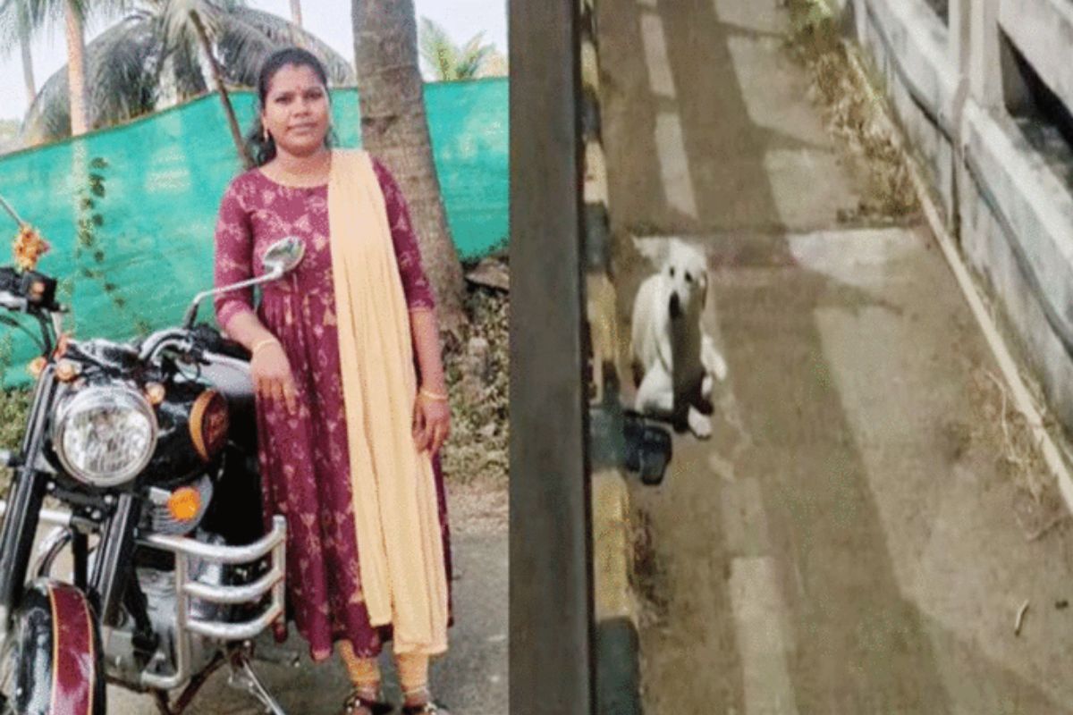 रात्रभर मालकिणीच्या चप्पलची राखण करत बसला कुत्रा