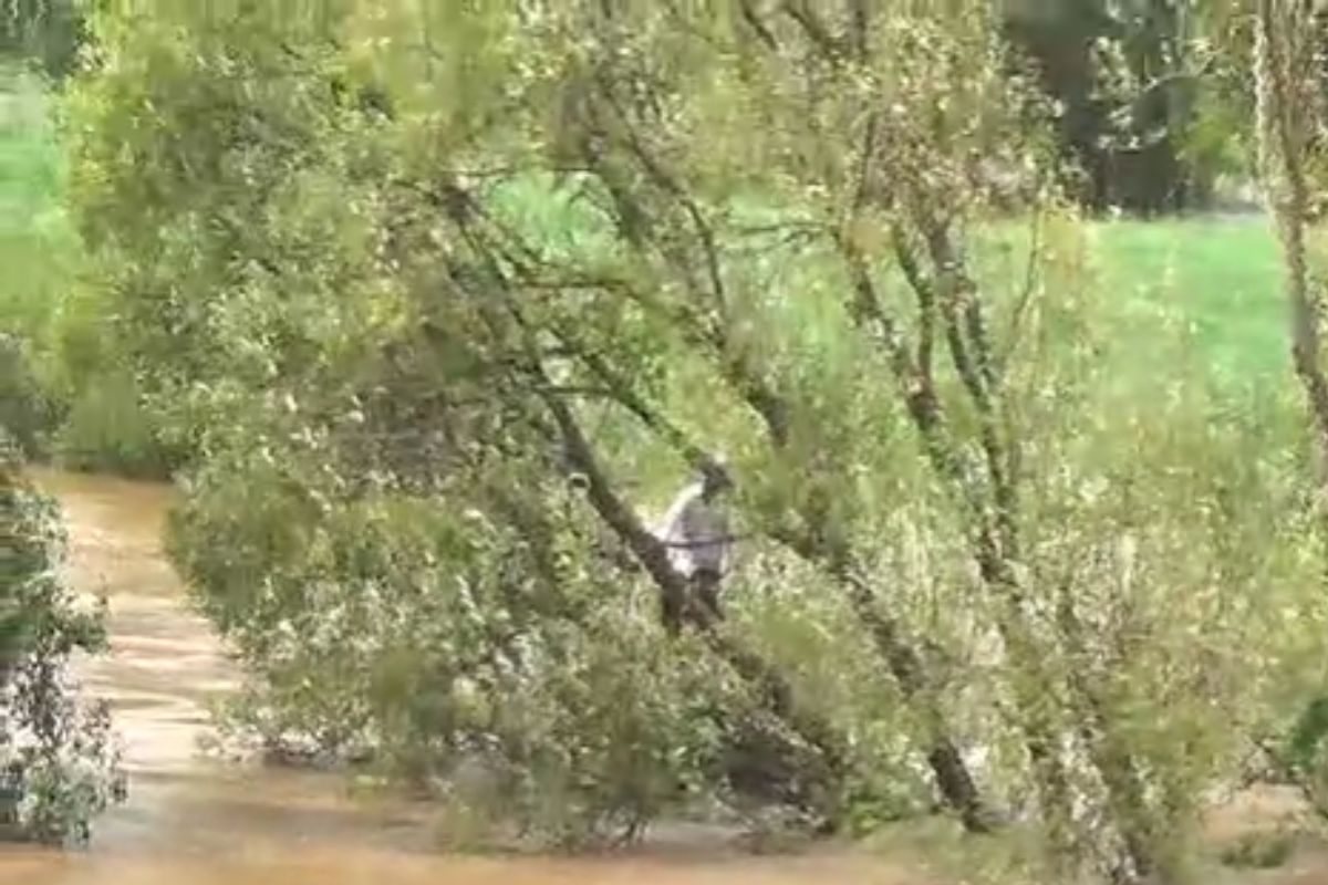 Live Updates : वारणा नदीच्या पुरात रात्रीपासून अडकलेल्या व्यक्तीची अखेर सुटका