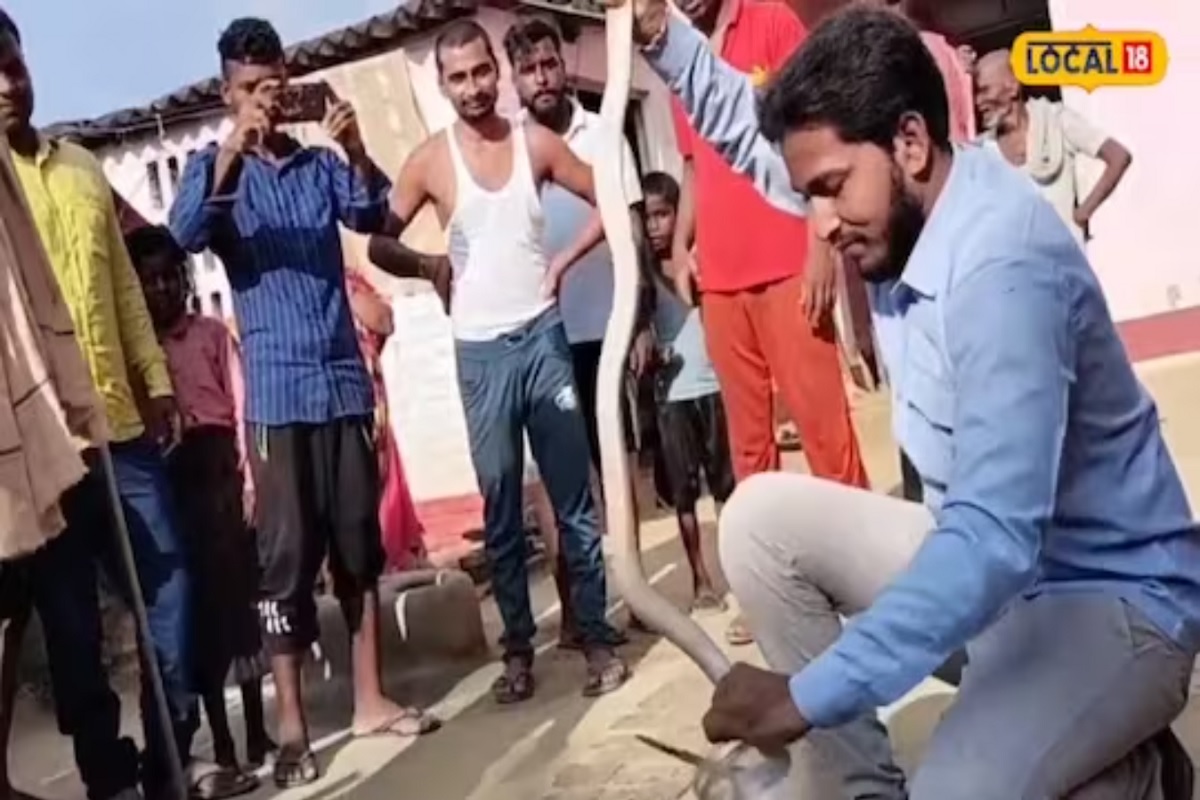 'फण्याला हात लावला की साप डसतो. त्यामुळे त्याला कधीही शेपटीच्या भागाकडून पकडायचं', असं विक्रम सांगतो.