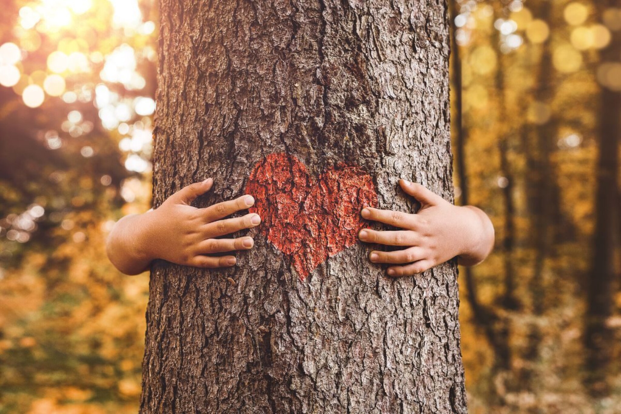 Weird : इथं मृत्यूनंतर लहान मुलांचं होतं झाड; कसा होतो हा चमत्कार?