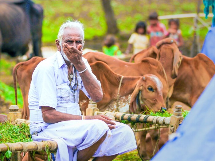 झारखंडच्या लातेहार गावात ही परंपरा सुरू झाली. त्यानंतर जवळच्या हर्खा, मुंगर, लालगडी आणि पक्रर गावातही तसंच केलं जातं. (सर्व प्रतीकात्मक फोटो - Canva)