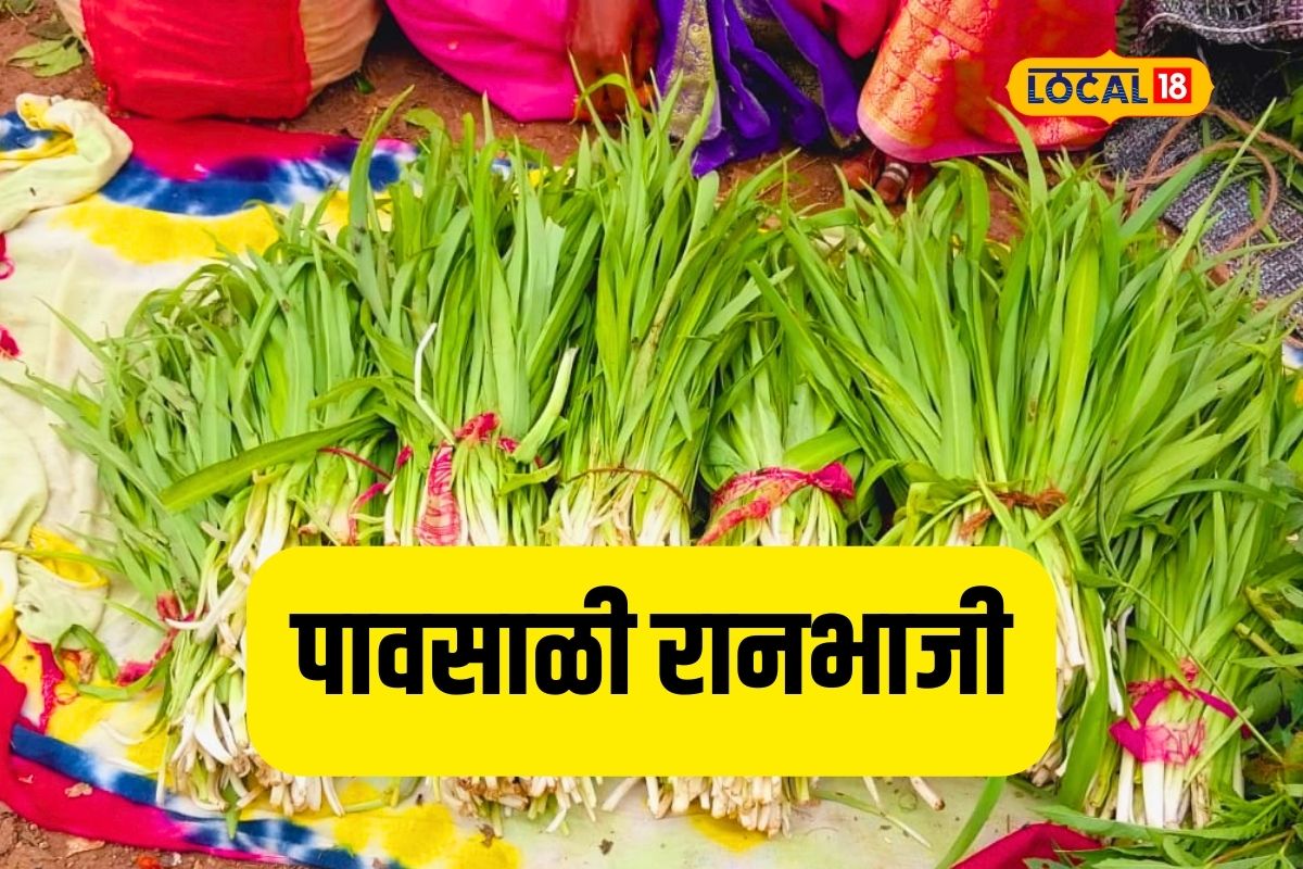 रानभाज्यांनी फुलला आठवडी बाजार, पाहा कधीही न पाहिलेली भाजी, Video