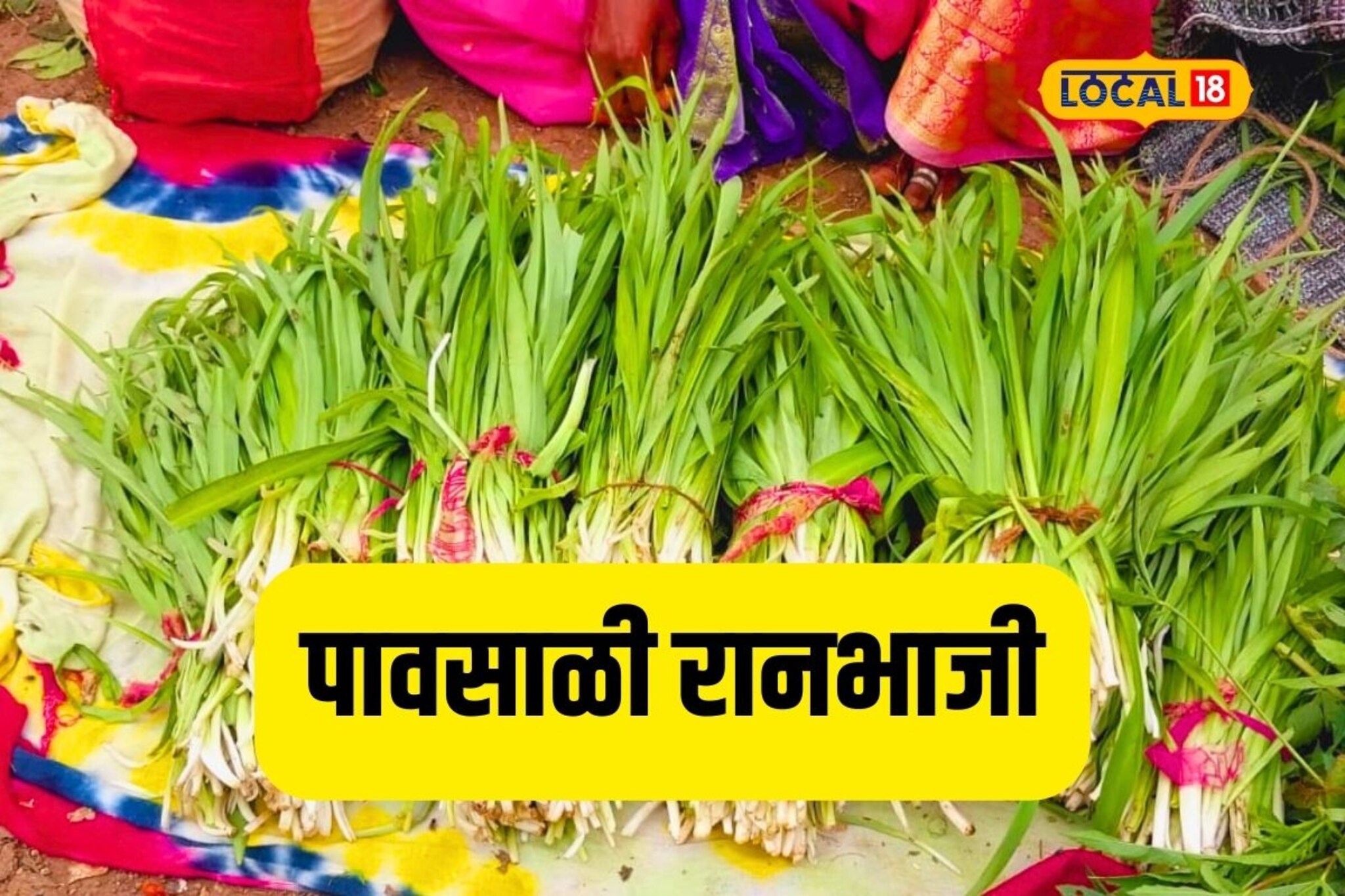 रानभाज्यांनी फुलला आठवडी बाजार, पाहा कधीही न पाहिलेली भाजी, Video