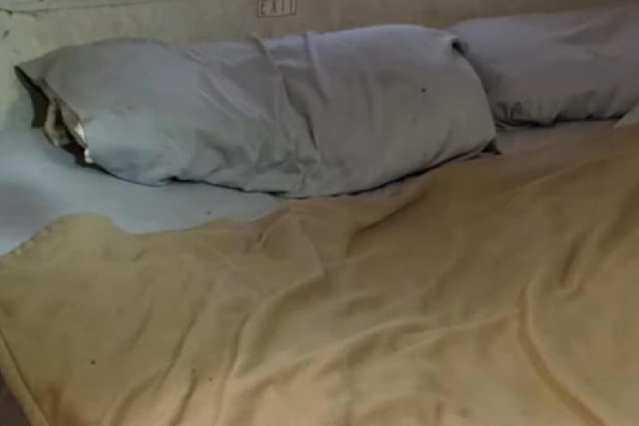 बापरे! अंध व्यक्तीच्या बेडवर रात्री हे कोण यायचं? अंगावर काटा आणणारा VIDEO VIRAL