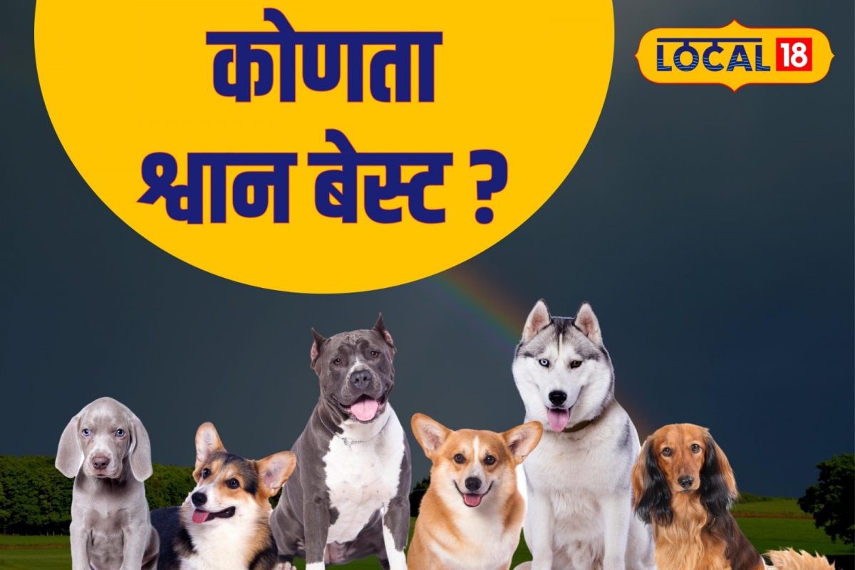 Nagpur News : श्वान पाळणे इतकं सोप्पं नाही, आधी ही माहिती जाणून घ्या