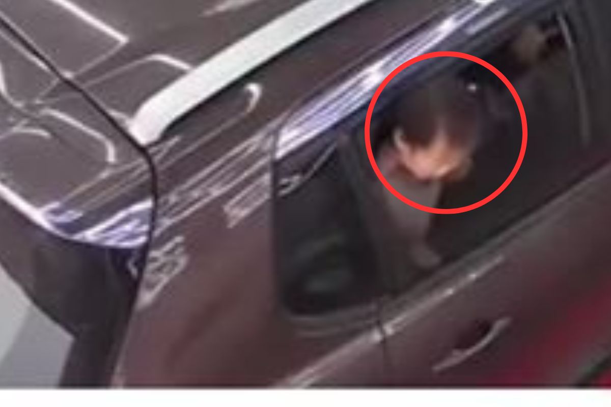 कारच्या खिडकीत अडकलं डोकं