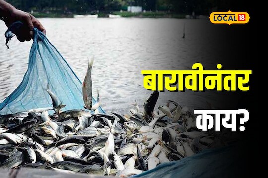 Nagpur News: मत्स्य विज्ञान क्षेत्रात करियर करायचंय? पाहा संपूर्ण प्रवेश प्रक्रिया
