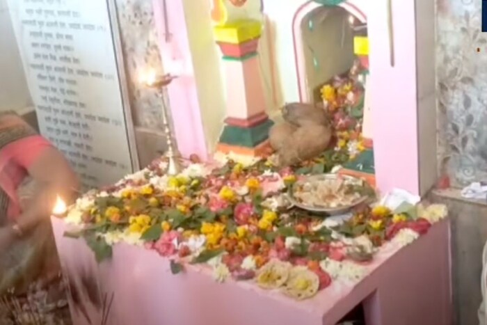 दरवर्षी पौष महिन्यात भरत असलेल्या चंद्राजी बाबांच्या नावाने भरत असलेली वऱ्हा येथील ही यात्रा म्हणजे परिसरातील भाविकांसाठी नवसाची यात्रा असल्याचे सुद्धा मानले जाते. कारण अनेक भाविक या यात्रेत आपल्या इच्छा पूर्तीचे साकडे घालतात, तर काही भाविक याठिकाणी आपल्या परिवारासह स्वयंपाक व महाप्रसादाचे सुद्धा आयोजन याठिकाणी करत असल्याची परंपरा आजही कायम आहे. आणि म्हणूनच वऱ्हा या गावाला चंद्राजी बाबांच्या नावाने ओळखले जाते.