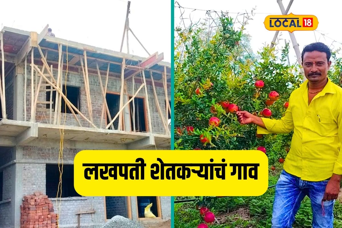 डाळिंबा लावले दारी, कार आली घरी; बंगलाही बांधला भारी, लखपती झाला शेतकरी VIDEO