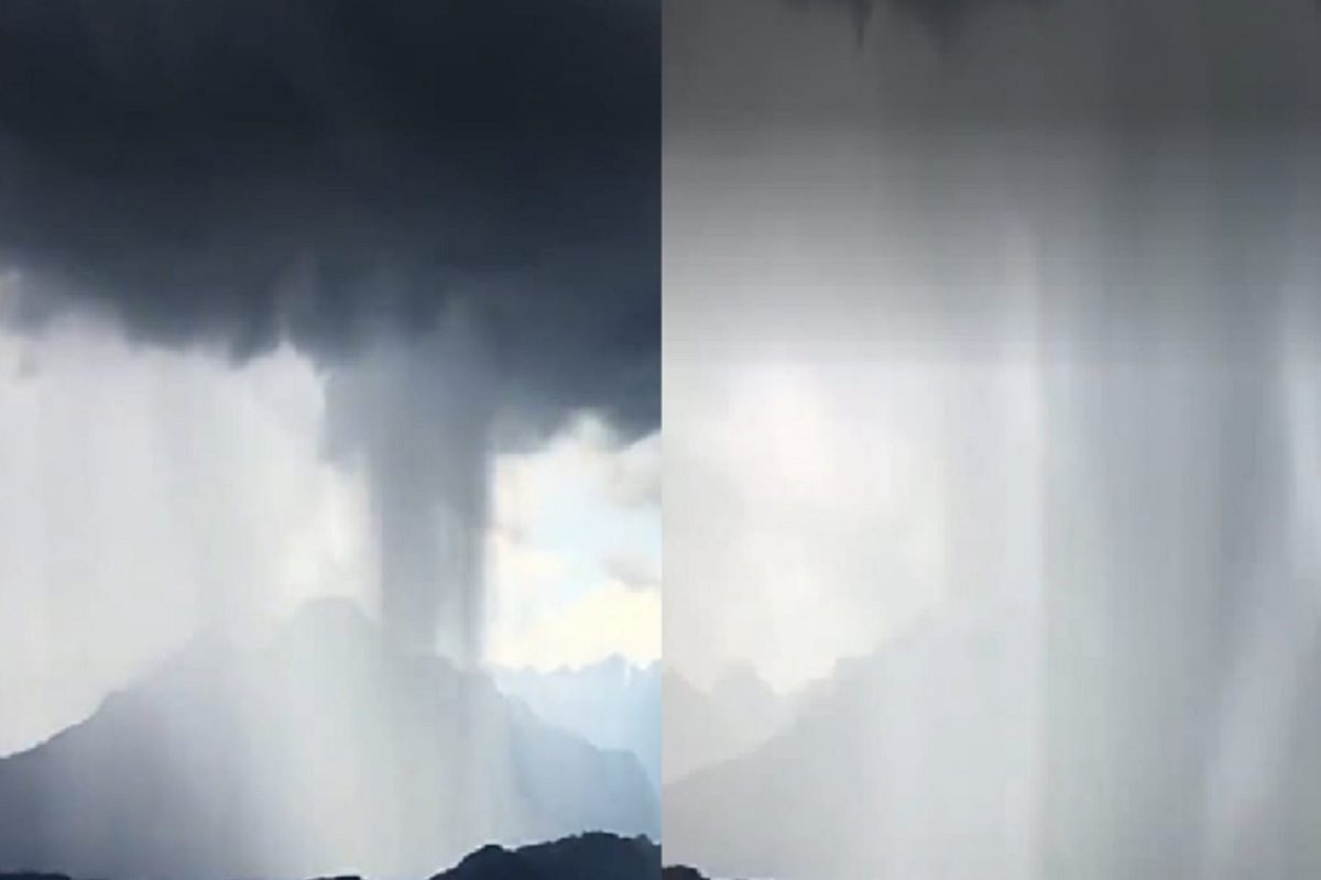 फोटो - ट्विटर व्हिडीओ ग्रॅब