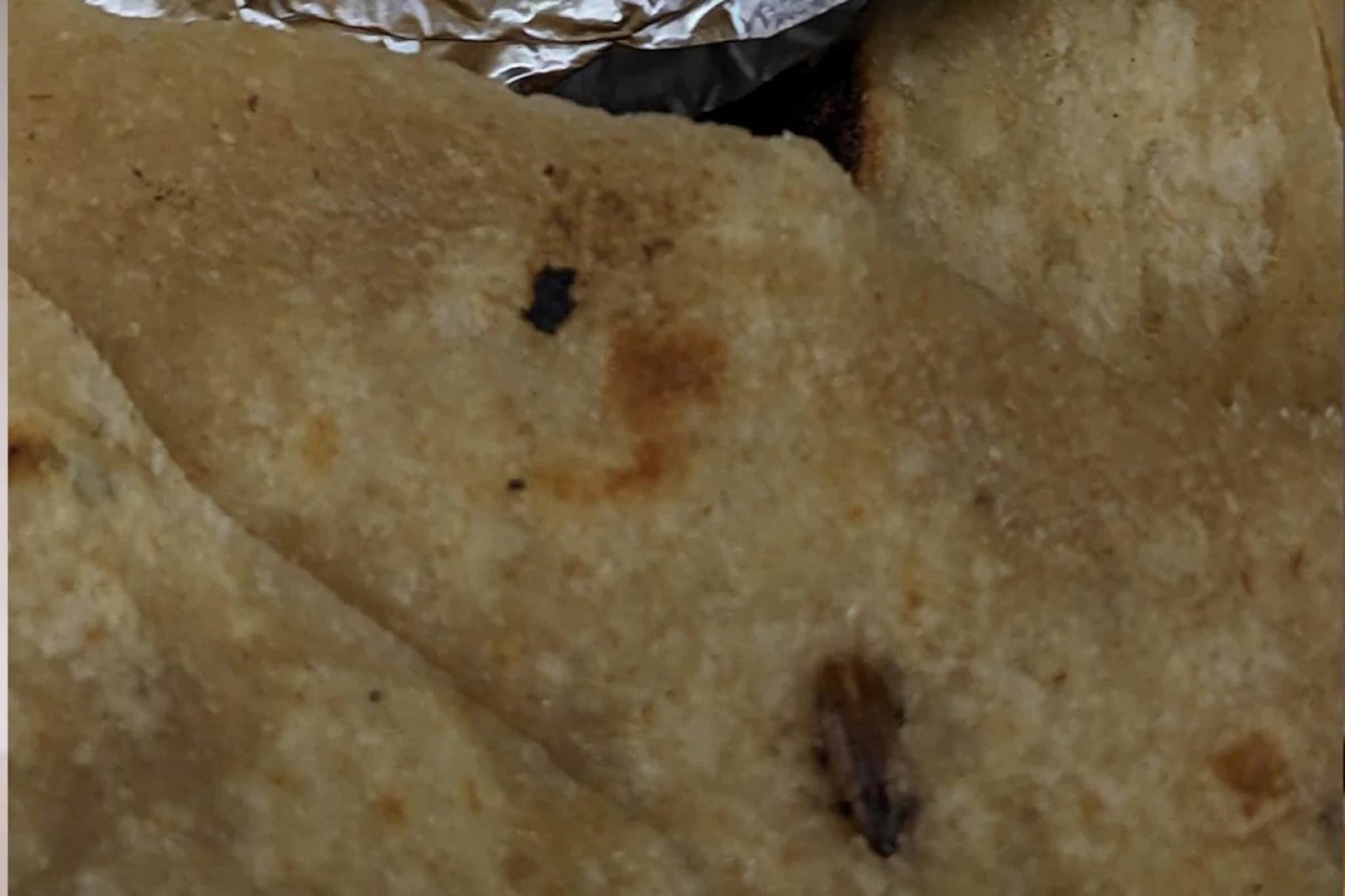 'वंदे भारत एक्सप्रेस'मधील जेवणात निघालं झुरळ, रेल्वेनं दिलं स्पष्टीकरण