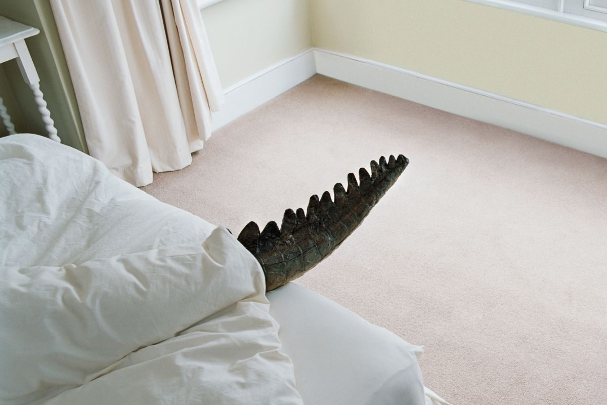 प्रतीकात्मक फोटो - Canva