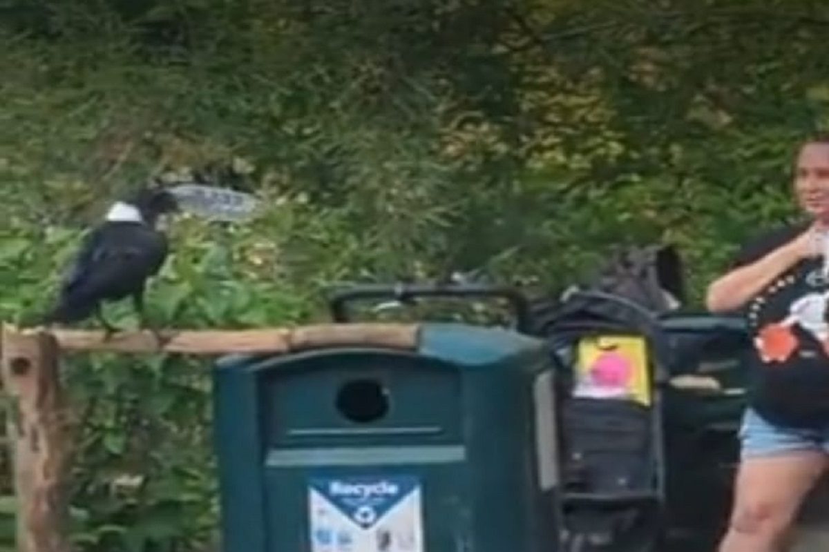 फोटो - युट्यूब व्हिडीओ ग्रॅब