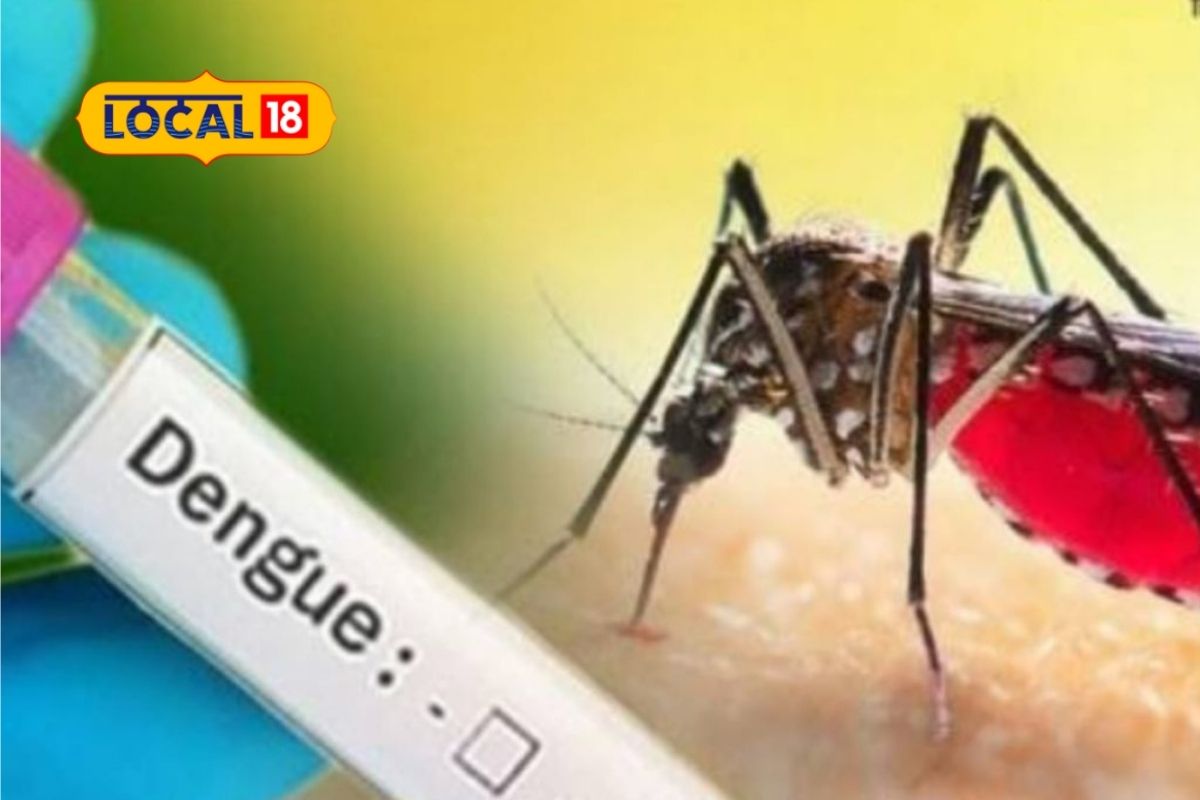 Health Tips: पावसाळ्यात डेंग्यू, मलेरियाचा असतो धोका, अशी घ्या काळजी