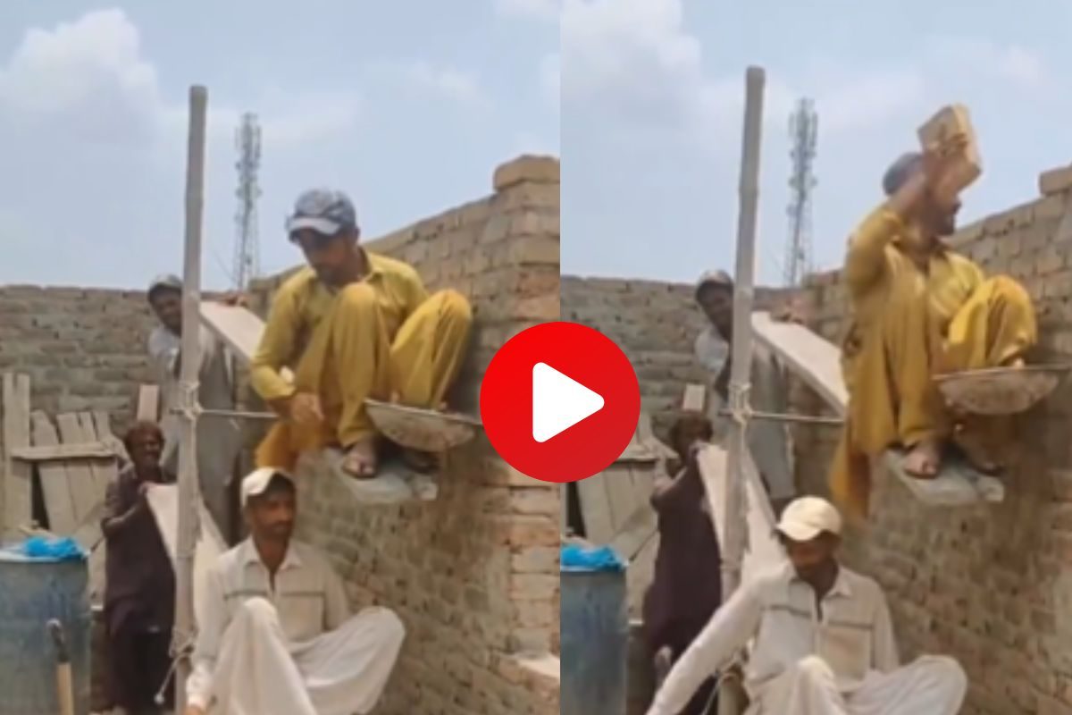 व्हायरल व्हिडीओ