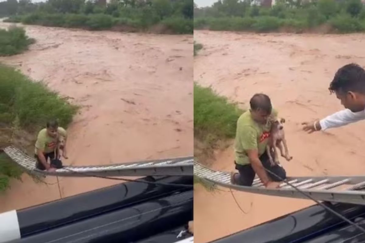 व्यक्तीने वाचवला श्वानाचा जीव