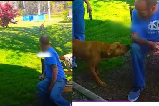 Viral Video: 3 वर्षांनी मालकाला भेटला श्वान; समोर येताच जे केलं ते पाहून व्हाल भावुक