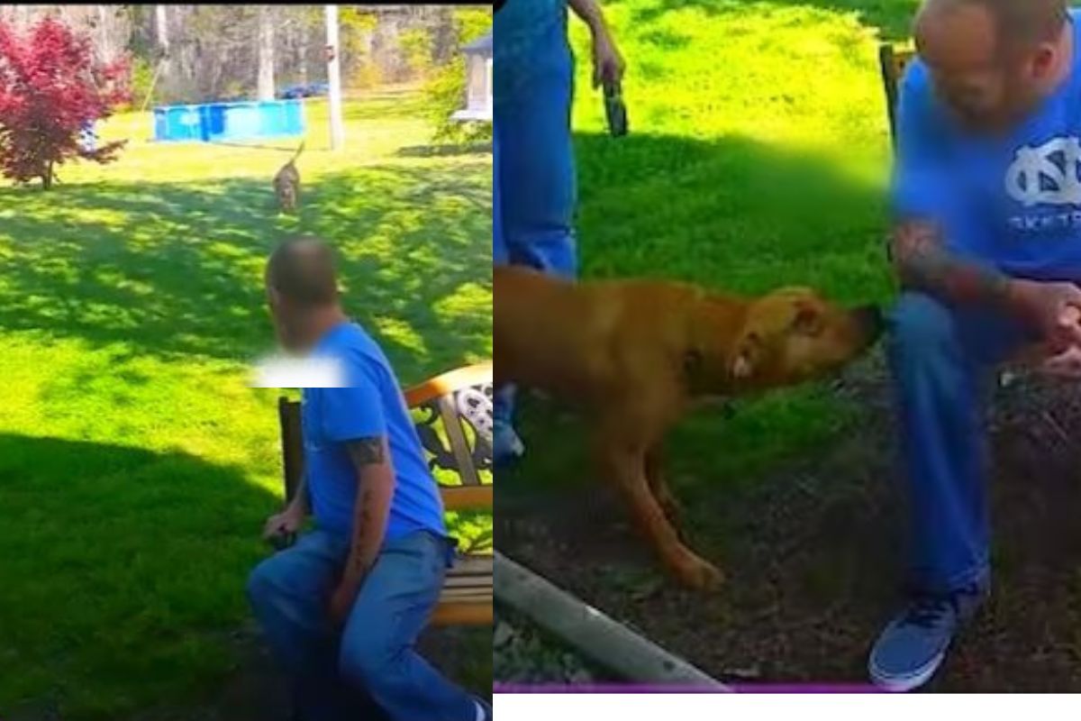 Viral Video: 3 वर्षांनी मालकाला भेटला श्वान; समोर येताच जे केलं ते पाहून व्हाल भावुक