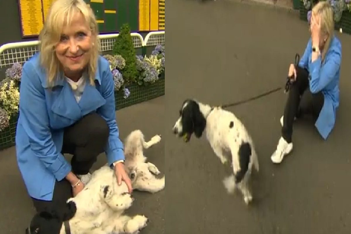 फोटो - ट्विटर व्हिडीओ ग्रॅब