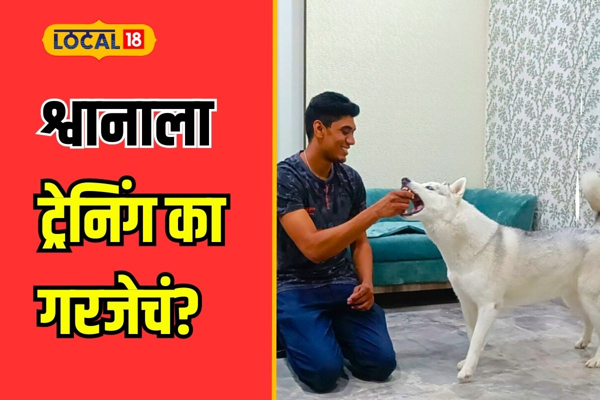 Nagpur News: ... म्हणून श्वानांना प्रशिक्षण देणं गरेजेचं, कारण ऐकून तुम्हालाही वाटेल आश्चर्य, Video