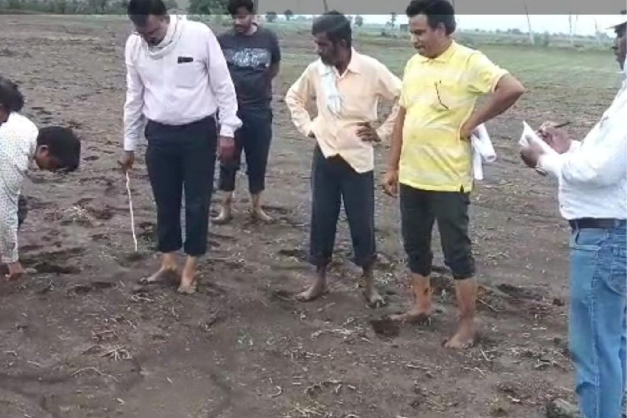 शेतात महाबीजचं बियाणं पेरलं पण हिरवं सोनं उगवलंच नाही; शेतकऱ्यांनी उचललं हे पाऊल