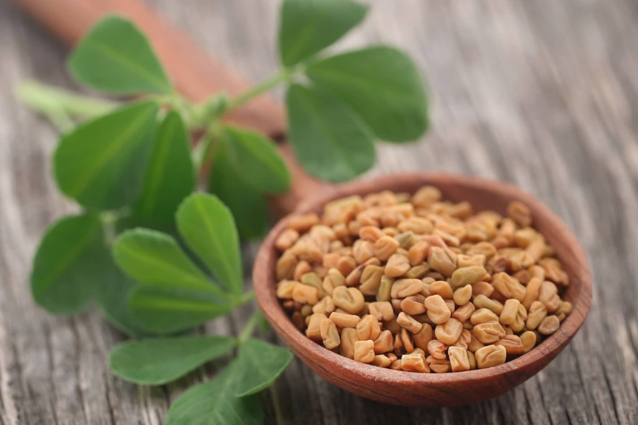 महिलांच्या 3 गंभीर समस्यांवर रामबाण उपाय मेथी, त्वचेसोबत संपूर्ण आरोग्य सुधारेल!