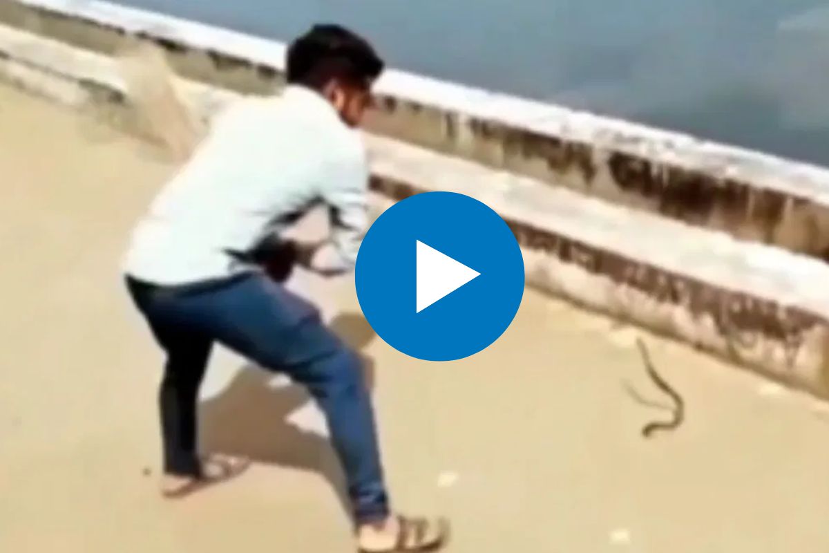 सापाला झाडूने पकडत होता तरुण