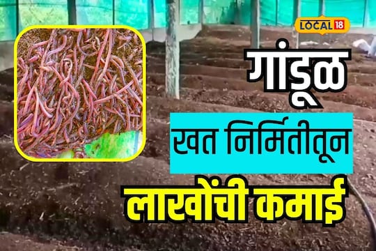 Ahmednagar News: 23 वर्षांपूर्वीच ओळखलं सेंद्रिय शेतीचं महत्त्व, आज आहे लाखोंची कमाई

