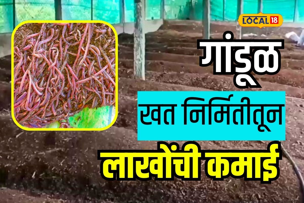 Ahmednagar News: 23 वर्षांपूर्वीच ओळखलं सेंद्रिय शेतीचं महत्त्व, आज आहे लाखोंची कमाई