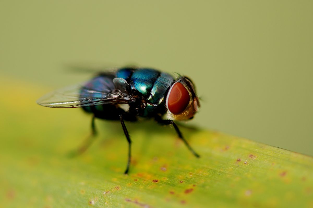 प्रतिकात्मक फोटो