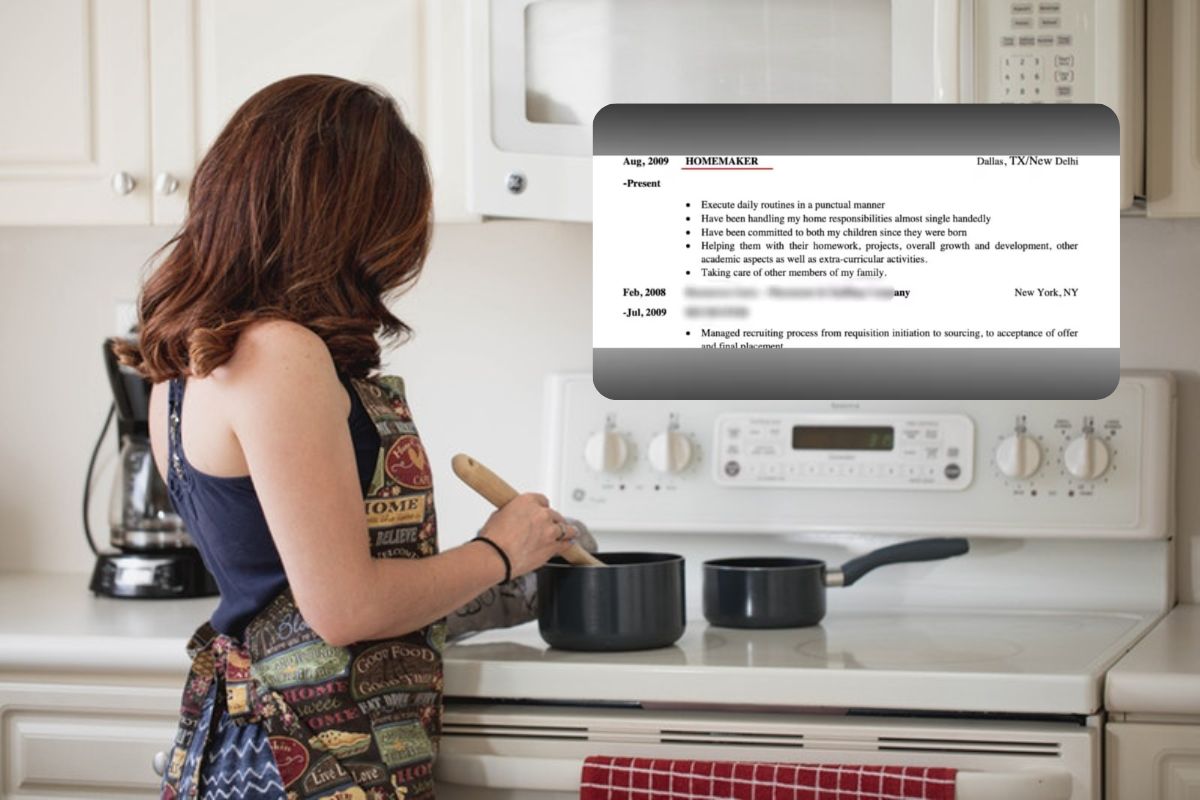 हाऊस वाईफ CV