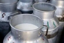 तुम्हीही भेसळयुक्त दूध पीत आहात का? या सोप्या पद्धतीने आता घरीच तपासा