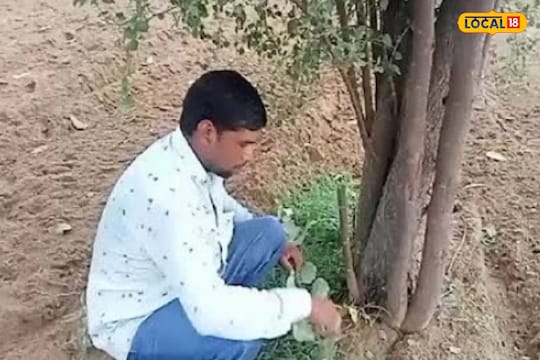 डूंगरमल गौड 