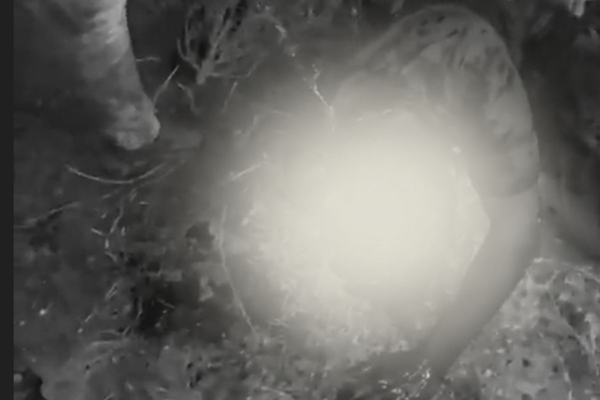 घटनास्थळावरचा फोटो