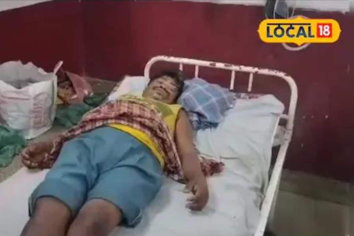 अस्वलाने केला हल्ला, मित्र गेला पळून, मग काय? गडी एकटाच लढला