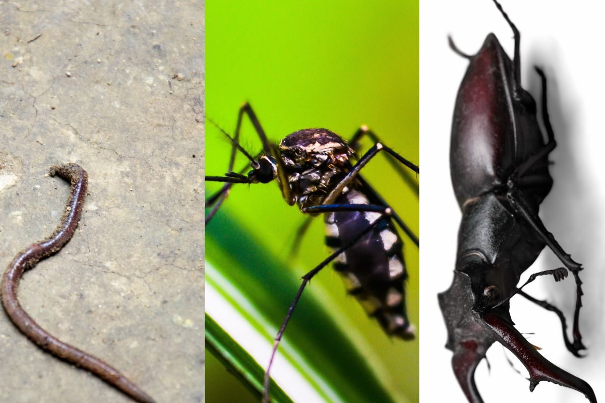 प्रतिकात्मक फोटो